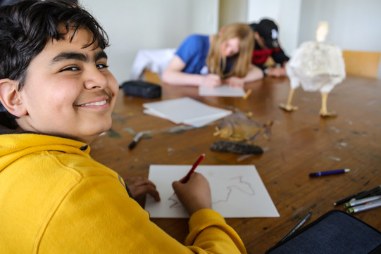 Boys*Day_Junge beim Zeichnen Ein Junge zeichnet. Seine Vorlage, an die er sich orientiert, ist ein ausgestopfter Vogel