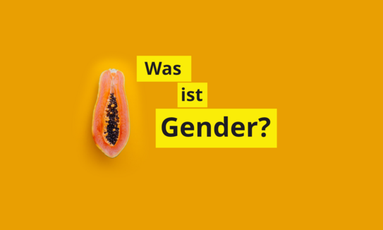 Auf einem organgenen Hintergrund ist eine längs aufgeschnittene Papaya zu seghen. Daneben steht in schwatzen Buchstaben auf gelbem Hintergrund "Was ist Gender?"