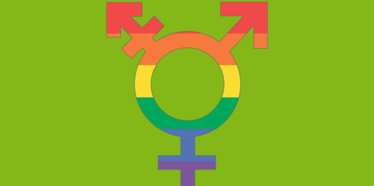 Symboldbild Mann/Frau/Divers Logo in Regenbogenfarben